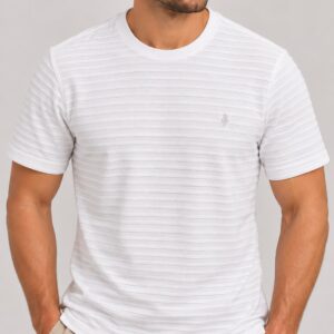 CAMISETA BASICA REGULAR MC DLZ